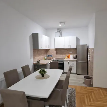 Savic Apartman *